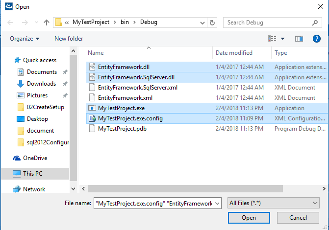 c# files in debug